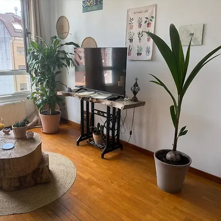 아파트 Dulce Y Sereno Piso En 오비에도